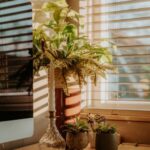 Tips for Creating a Cozy and Inviting Home Office Space